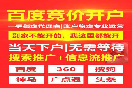 行业领先企业的SEM竞价代运营案例解析